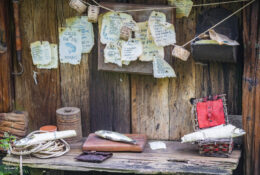 New Zealand 2025 (1 group) (63/66)